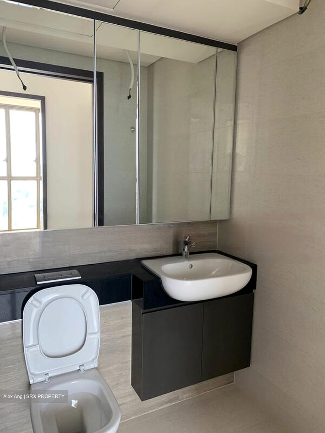 Park Place Residences At Plq (D14), Apartment #477590341